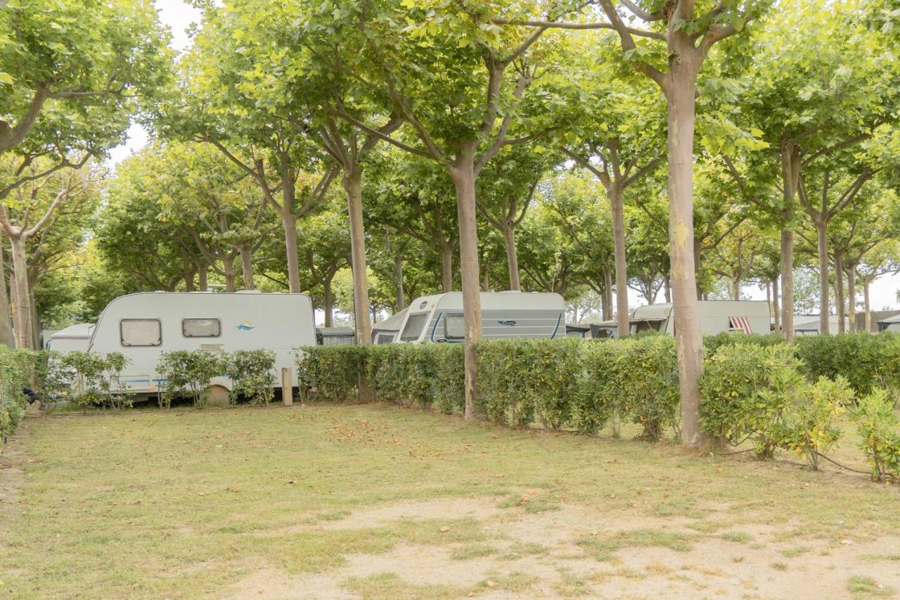Camping Senia Caballo De Mar Pineda de Mar Eksteriør billede