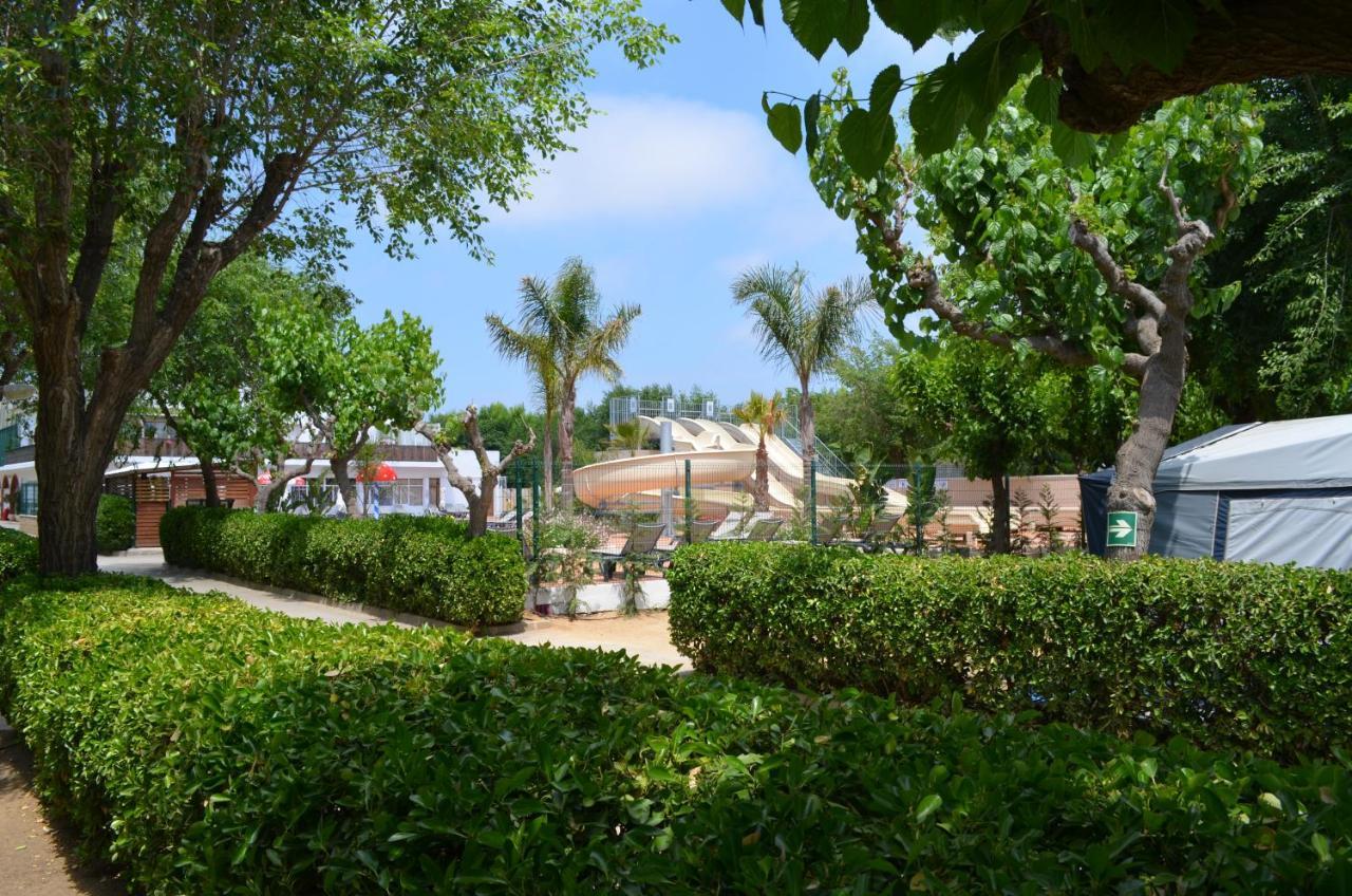 Camping Senia Caballo De Mar Pineda de Mar Eksteriør billede